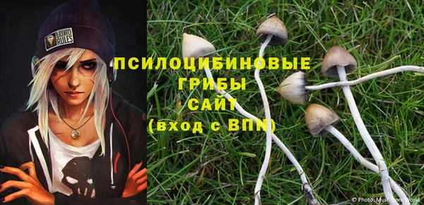 ALPHA-PVP Алексин